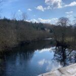 rebecca-boyce-gallery-116